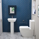 RIMLESS TOILET COUPLED GROHE EURO BUNDLE PACK CISTERN SOFT CLOSE SEAT