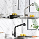MIA BLACK PULL OUT SPRAY MODERN KITCHEN MIXER TAP SINGLE LEVER SWIVEL SPOUT