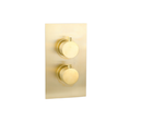 Anas Brushed Brass Gold Double Outlet Concealed Shower Thermostatic Valve 200mm Overhead