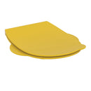 Armitage Shanks Contour 21 Toilet Seat and Cover S453379