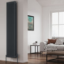 Reina Colona 2 Column Vertical Radiator - 1800mm x 380mm - Anthracite