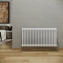 Reina Colona 2 Column Horizontal Radiator - 600mm x 1010mm - White