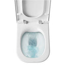 Roca the gap rimless coupled toilet back to wall cistern soft close seat