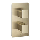 JTP HIX 1 Outlet 2 Handle Thermostatic Concealed Shower Valve  Brushed Brass 33651BBR