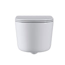 Anas Compact 450mm Rimless Wall Hung Pan And Slim Soft Close Seat White