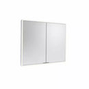 Tavistock Portrait Cabinet Illuminated Demister Pad 800 X 650 - 2 door Demist PTC080
