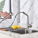 MIA BRUSHED STEEL PULL OUT SPRAY MODERN KITCHEN MIXER TAP SINGLE LEVER SWIVEL