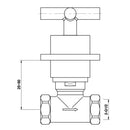 JTP Solex Wall Mounted Side Valves (Pair) - Brushed Brass