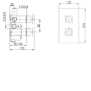 JTP Solex 2 Outlet Thermostatic Concealed Shower Valve - Brushed Brass