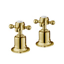 JTP Grosvenor Crosshead Panel Valves Pair - Antique Brass