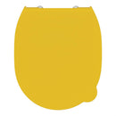 Armitage Shanks Contour 21 Toilet Seat and Cover S453679