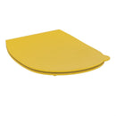 Armitage Shanks Contour 21 Toilet Seat and Cover S453679