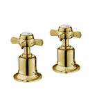 JTP Grosvenor Pinch Panel Valves Pair - Light Gold