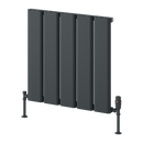 Reina Caldaro Horizontal Aluminium Radiator - 600x620mm - Anthracite A-CDR060062A