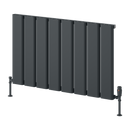 Reina Caldaro Horizontal Aluminium Radiator - 600x995mm - Anthracite A-CDR060099A