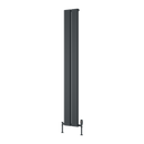 Reina Caldaro Vertical Aluminium Radiator - 1800mm x 245mm - Anthracite