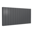 Reina Casina Double Panel Horizontal Designer Radiator - 600x1230mm - Anthracite A-CSL060123AD