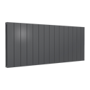 Reina Casina Double Panel Horizontal Designer Radiator - 600x1420mm - Anthracite A-CSL060142AD