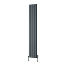 Reina Piatto Double Panel Vertical Designer Radiator - 1800x295mm - Anthracite A-PTO180029DA