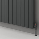 Reina Resia Horizontal Aluminium Designer Radiator - 600mm x 1230mm - Anthracite