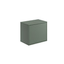 Anas Michelle 600mm Wall Mounted Vanity Unit Reed Green Slab Door For Counter Top Basin