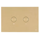 JTP Metal Pneumatic Dual Flush Plate - Brushed Brass