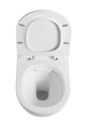 Rimless Toilet Wall Hung Pan Soft Seat Roca Duplo A8900720A0 0.82 Wc Frame Under Window