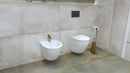 RIMLESS TOILET WALL HUNG PAN SEAT GROHE WC FRAME BATHROOM SET