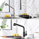 MIA BRUSHED STEEL PULL OUT SPRAY MODERN KITCHEN MIXER TAP SINGLE LEVER SWIVEL