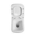 Rimless Wall Hung Square Toilet Pan Wc Frame Concealed Cistern Brushed Brass Plate