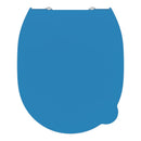 Armitage Shanks Contour 21 Toilet Seat and Cover S453636