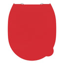 Armitage Shanks Contour 21 Toilet Seat and Cover S4536GQ